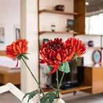 Ankerplatz - B313 By Interhome Apartman *