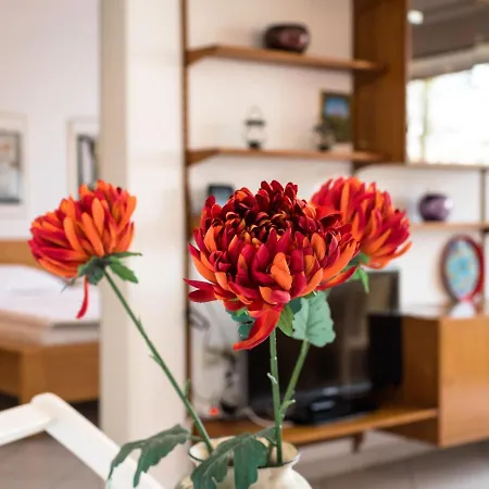 Ankerplatz - B313 By Interhome Apartament *